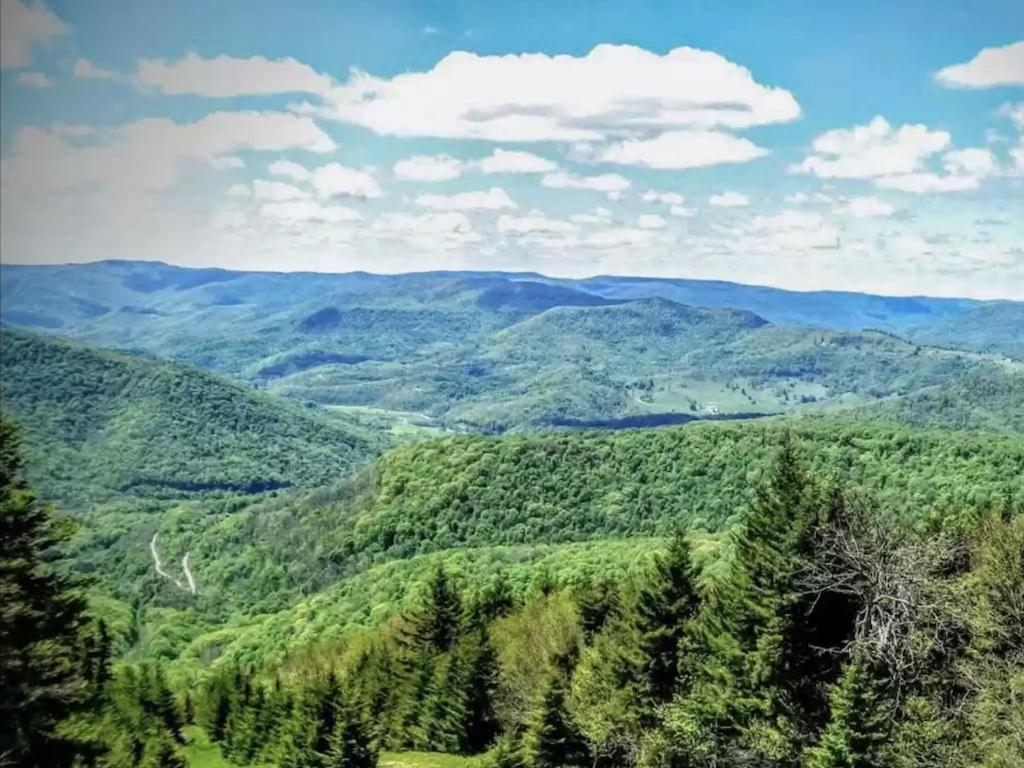 Enjoy The Long Range View, Ski In N Out Top Of The Mountain Condo Snowshoe Exterior photo
